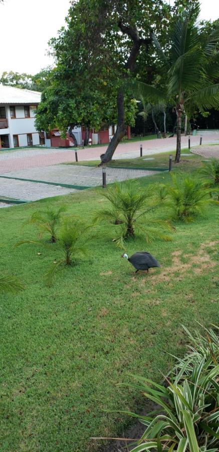 Apto Incrivel Em Condominio Lindo Praia do Forte Eksteriør bilde